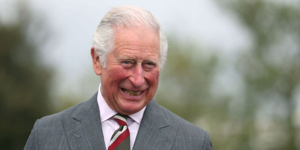 the prince of wales visits wales