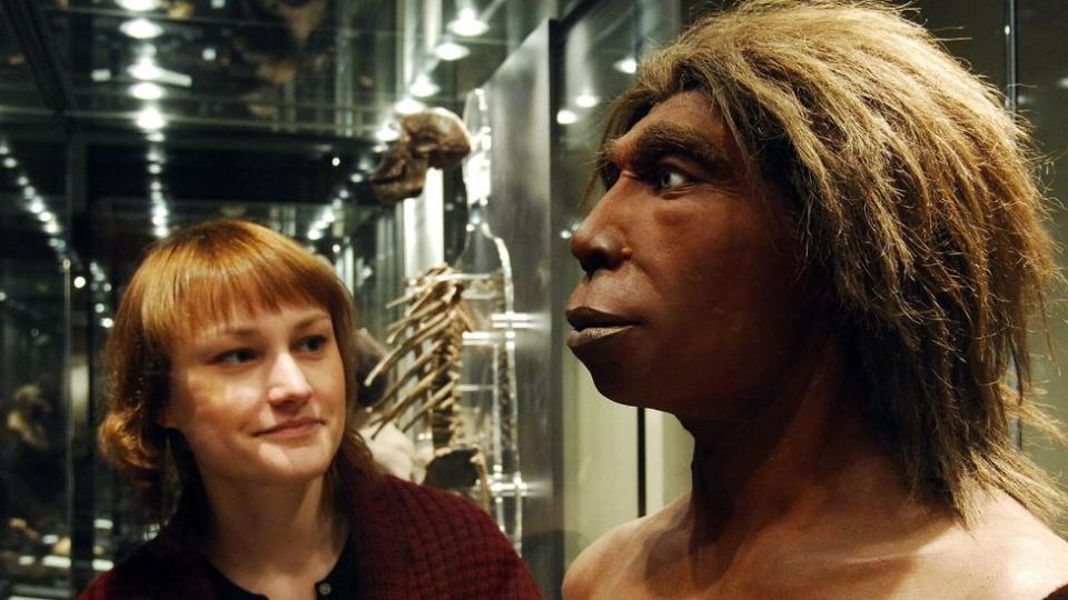 Neandertal