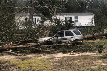 A tree fell on a car where two back-to-back tornadoes touched down in Lee County near Beauregard, Alabama, U.S., March 4, 2019. REUTERS/Elijah Nouvelage