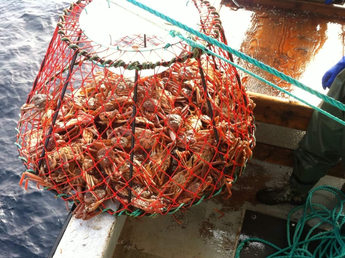 Crab boats have been tied up in the province since April 6. (Winston Pitcher - image credit)