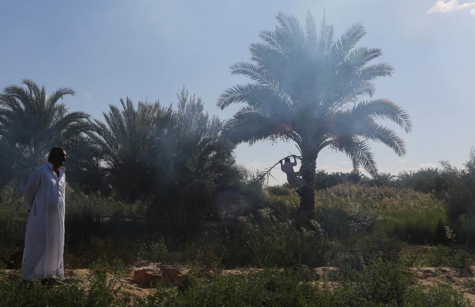 A man stands at a farm while a worker collects palm leaves to make a traditional basket used for storing food in front of his house