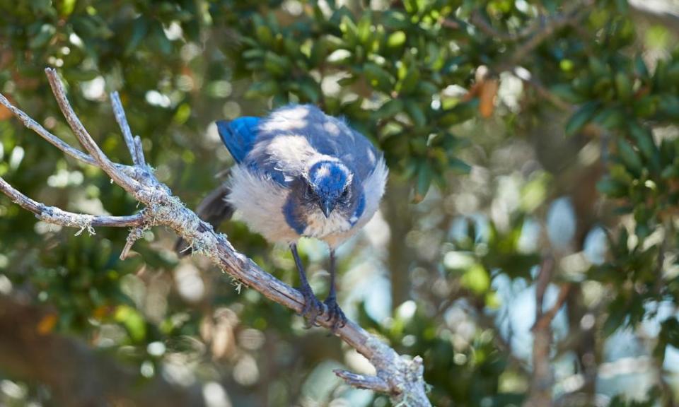 Photograph: Jon Lord/Alamy