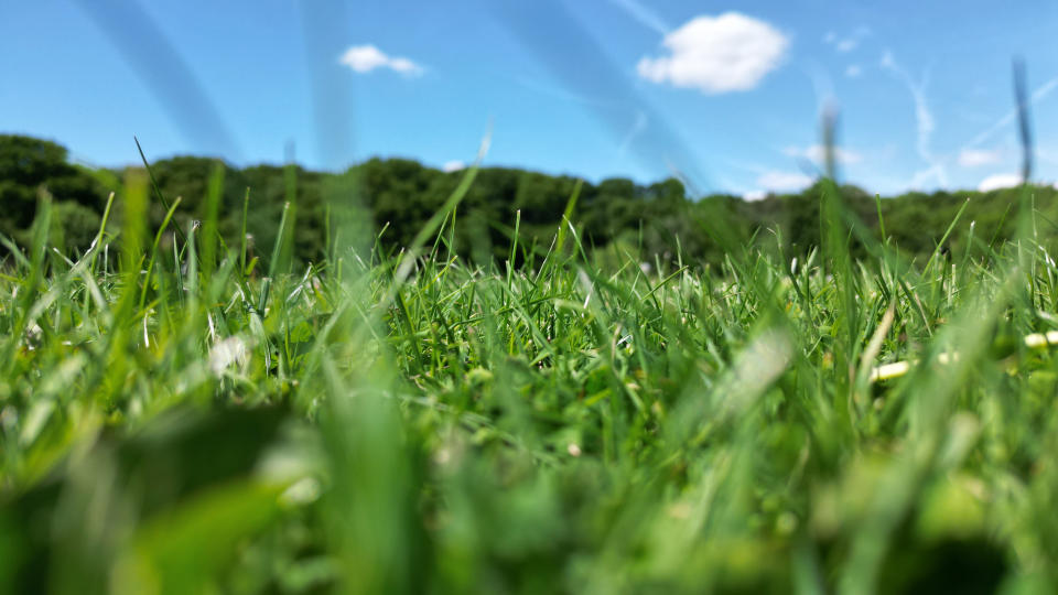 Grüne Wiesen statt verbranntem Rasen: Diesen Sommer ist in großen Teilen Deutschlands genug Regen gefallen. (Symbolfoto: Getty Images)