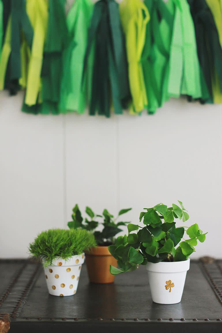 plants in small clay pots painted white, one with a gold shamrock painted on it, one with gold coins painted on it