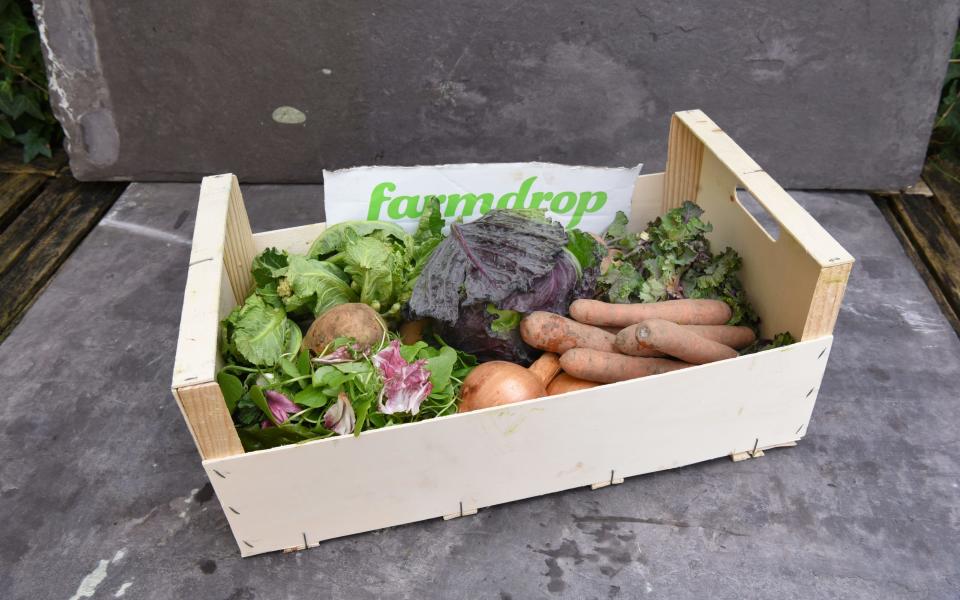 The Great British Box Off: which veg box is best for quality and value?