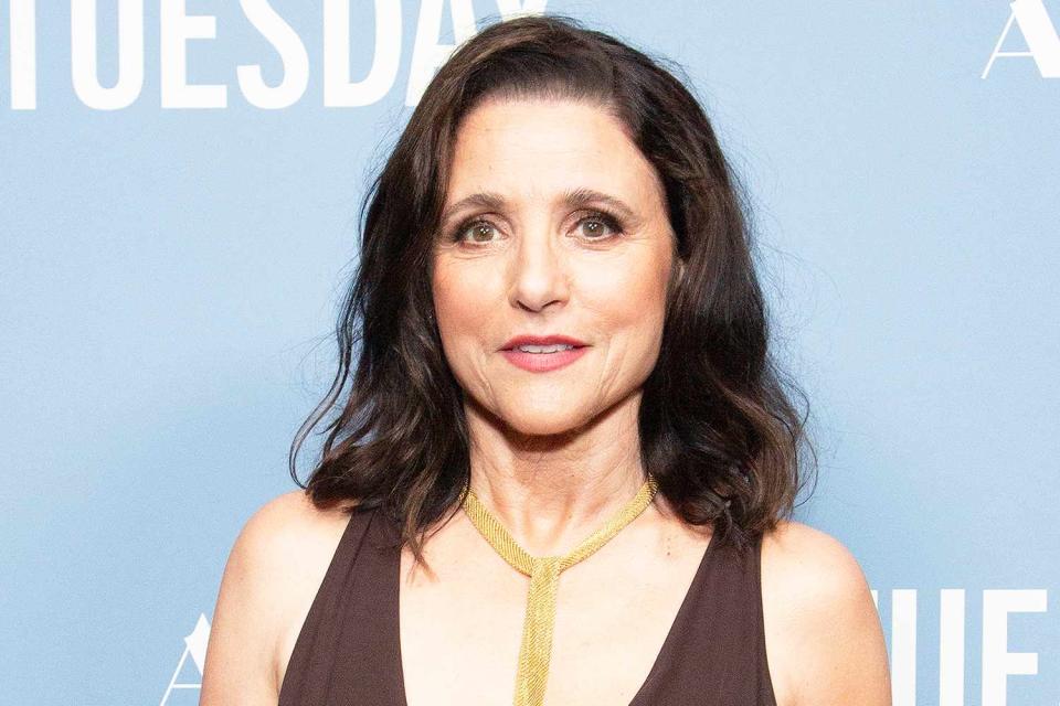 <p>Santiago Felipe/Getty</p> Julia Louis-Dreyfus