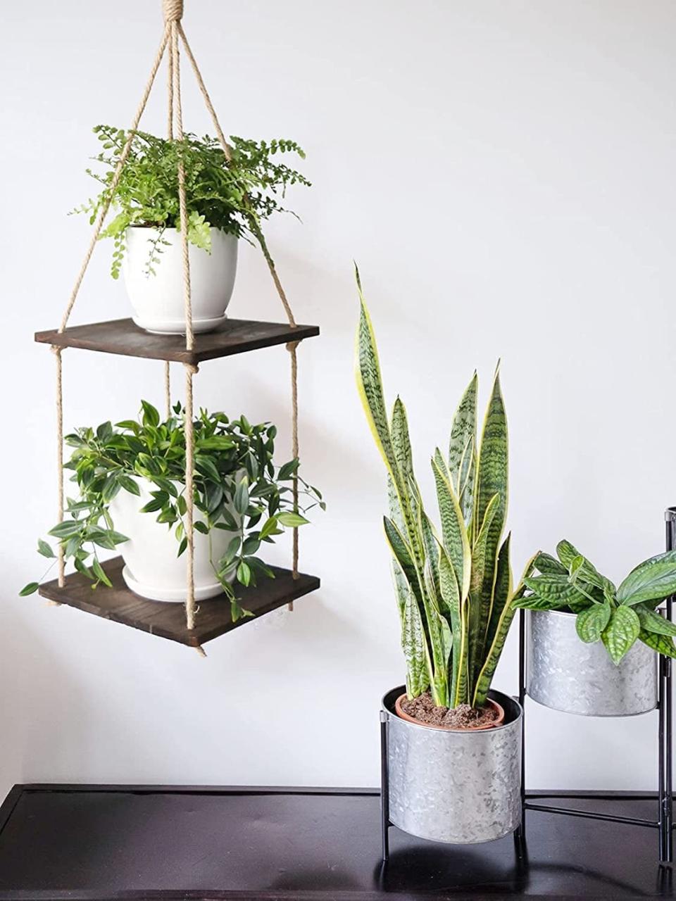 <p>If you have a lot of plants, the <span>Abetree 2-Tier Hanging Plant Shelf </span> ($16) might come in handy. It's perfect for holding bigger pots or curating an arrangement with smaller planters. It's great for a contemporary home. </p>