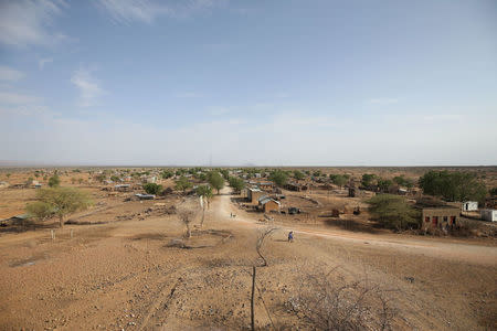 A general view shows Badme, a territorial dispute town between Eritrea and Ethiopia currently occupied by Ethiopia, June 8, 2018. Picture taken June 8, 2018. REUTERS/Tiksa Negeri