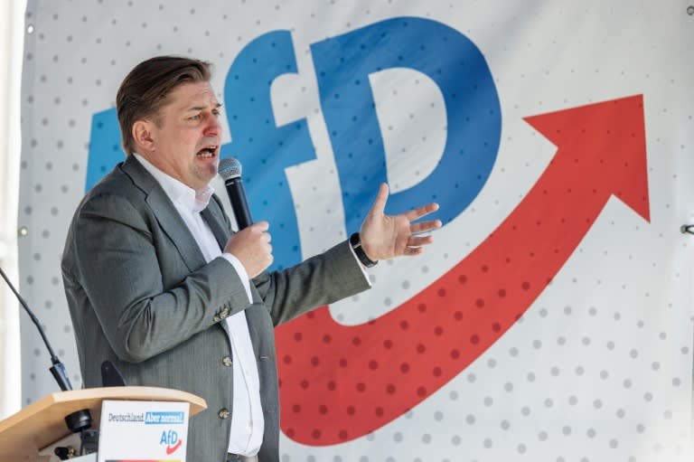 The AfD bans its leading candidate Maximilian Krah from EU election campaign events over a series of scandals (JENS SCHLUETER)