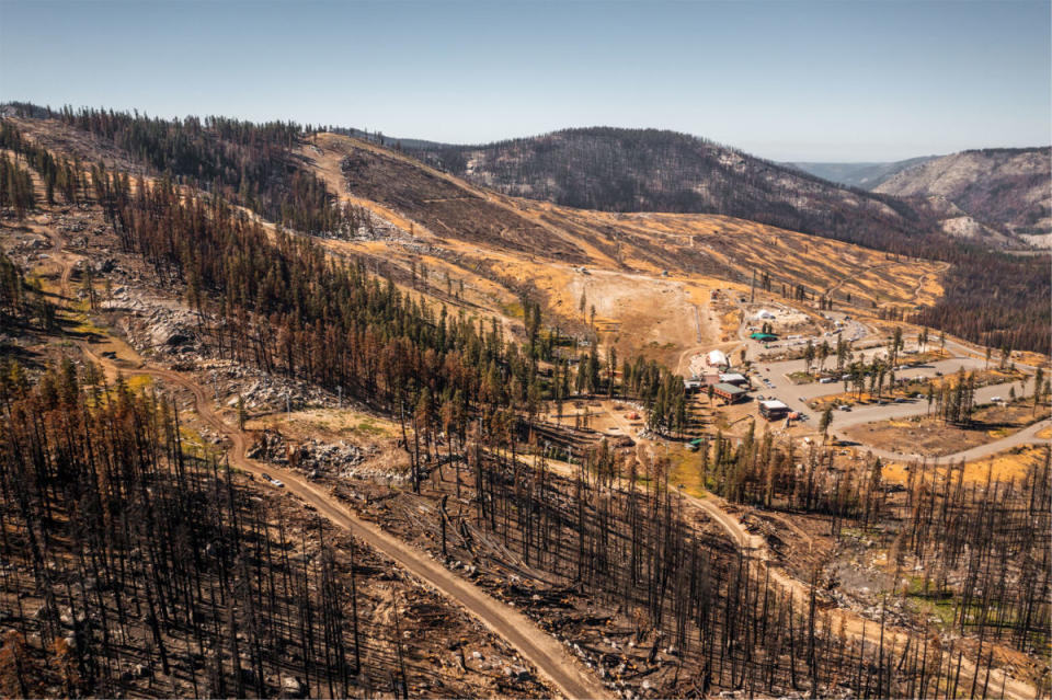 Burnt trees lining Sugar N Spice. Photo: <a href="https://www.sierraattahoe.com/blog/general/caldor-fire-update/" rel="nofollow noopener" target="_blank" data-ylk="slk:Sierra-at-Tahoe;elm:context_link;itc:0;sec:content-canvas" class="link ">Sierra-at-Tahoe</a>