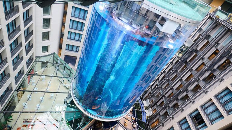 Acuario en Berlín