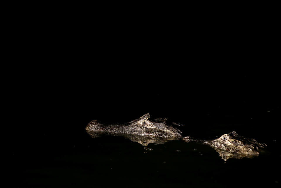 A slow death along the Pilcomayo River