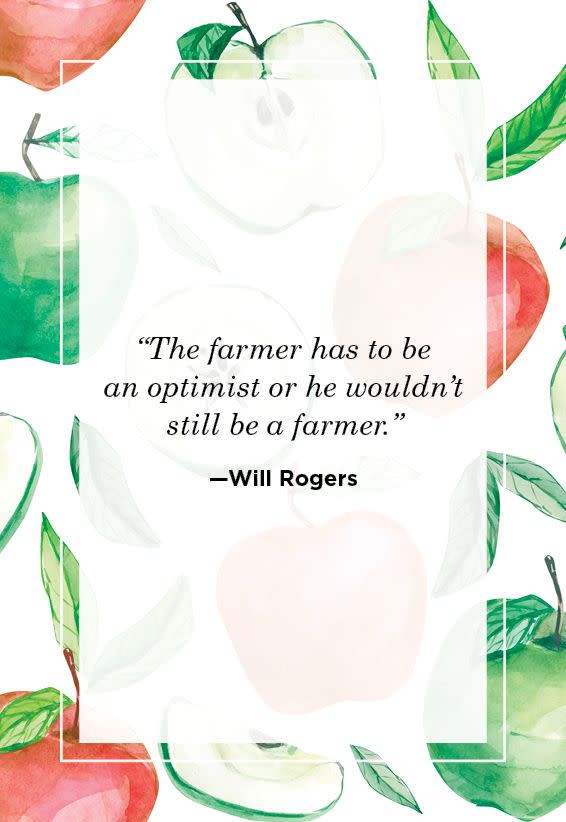 <p>"The farmer has to be an optimist or he wouldn’t still be a farmer."</p>