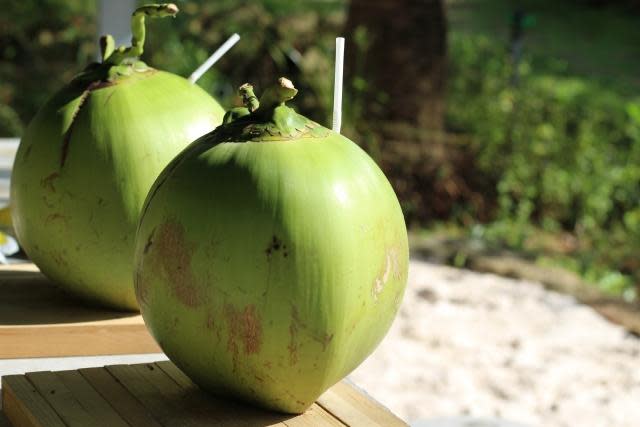 <strong>椰子肉富含高達20％的油脂，但某種真菌會讓椰子從內部開始腐爛。（示意圖／pixabay）</strong>