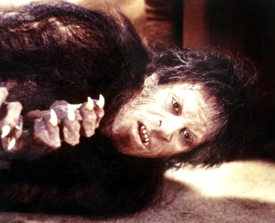 David Naughton takes his wolf form in <em>An American Werewolf in London</em>. (Photo: Universal/Courtesy Everett Collection)