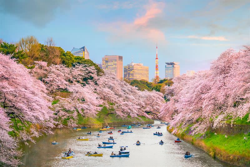 乘坐花筏賞櫻的千鳥淵，是東京相當熱門的賞櫻勝地。（圖／易遊網提供）