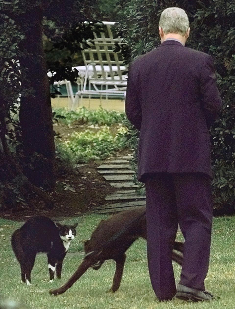 FILE - President Clinton tries to introduce his new dog Buddy to his cat Socks during a meeting outside the Oval Office at the White House on Jan. 6, 1998. President Joe Biden and first lady Jill Biden have added a green-eyed tabby from Pennsylvania to the White House family. She's the first feline tenant since President George W. Bush’s controversially named cat India. With Presidents James K. Polk and Donald Trump among notable, no-pets exceptions, animals have a long history in the White House. (AP Photo/Greg Gibson, File)