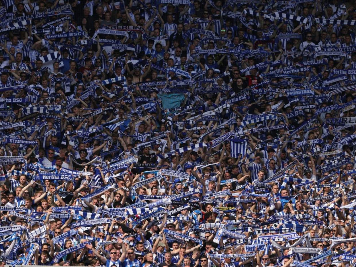 Fan-Vertreter begrüßen Hertha-Wahl und hoffen auf Rückenwind