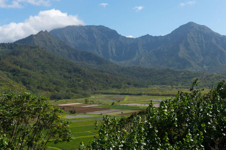 mark zuckerberg building hawaii compound