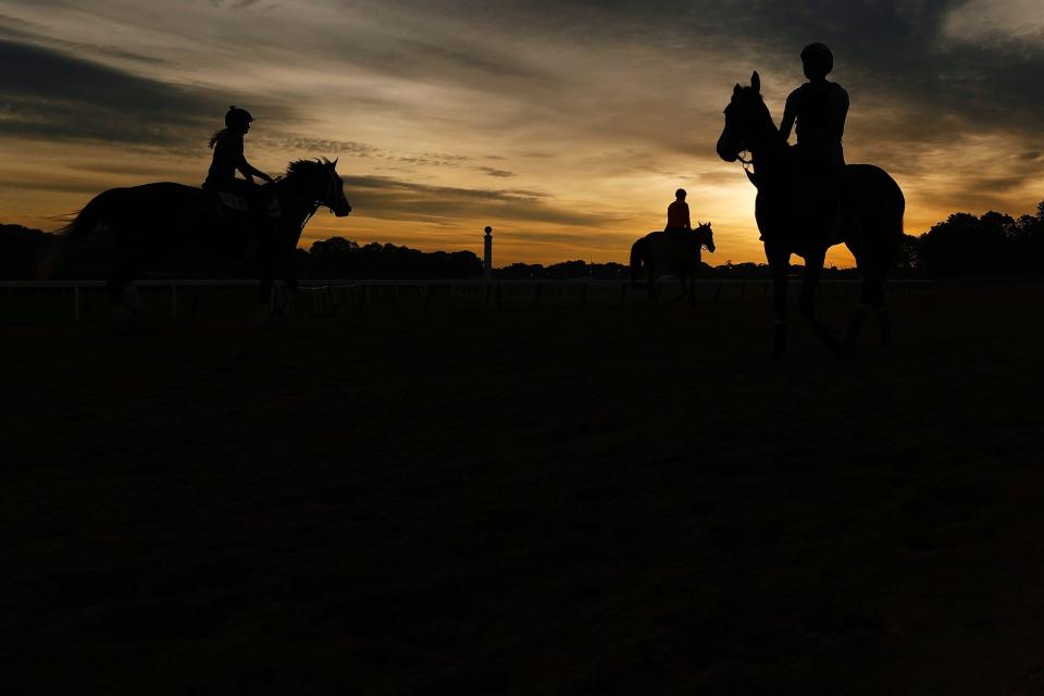 A group of horses and exercise riders train on the track during a morning workout prior to the 153rd running of the Belmont Stakes at Belmont Park.