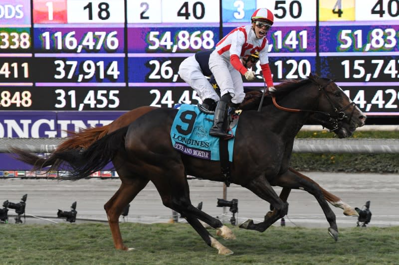 Horse Racing: 36th Breeders Cup World Championship