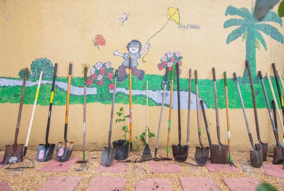 The school features garden plants.