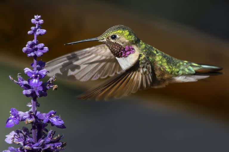 Photo credit: Randall Roberts / 500px - Getty Images