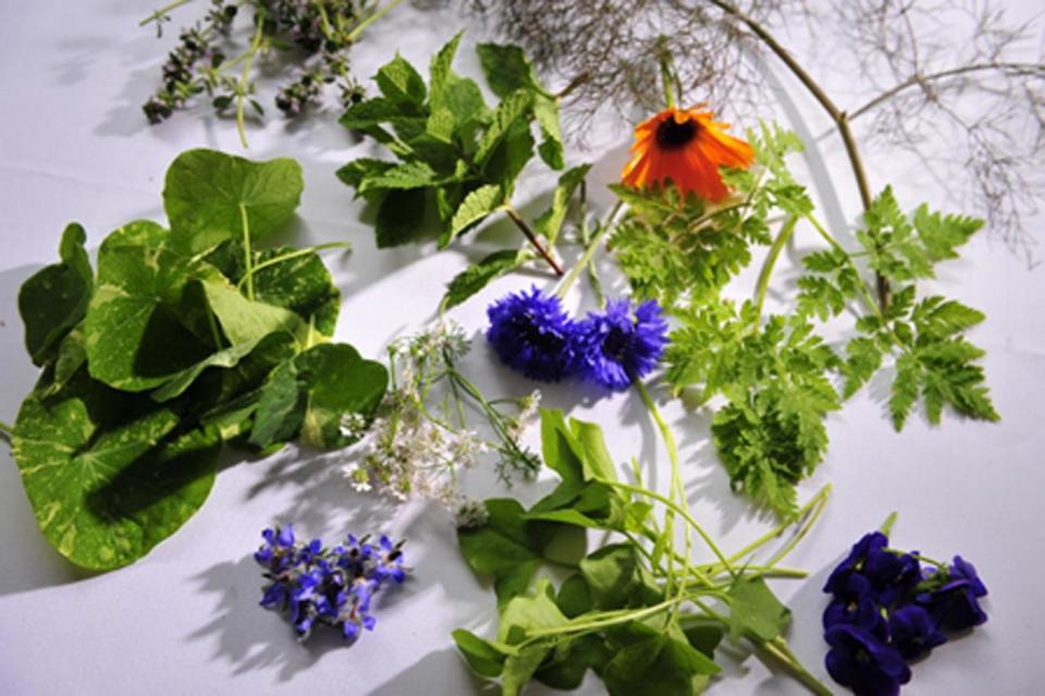 Wild things: Herbs and flowers (Pied a Terre)