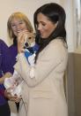 <p>Meghan Markle meets a Jack Russell named Minnie during her visit to the Mayhew, an animal welfare charity of which <a href="https://www.townandcountrymag.com/society/tradition/a25835910/meghan-markle-royal-patronages-charities/" rel="nofollow noopener" target="_blank" data-ylk="slk:she is now patron;elm:context_link;itc:0;sec:content-canvas" class="link ">she is now patron</a>.</p>
