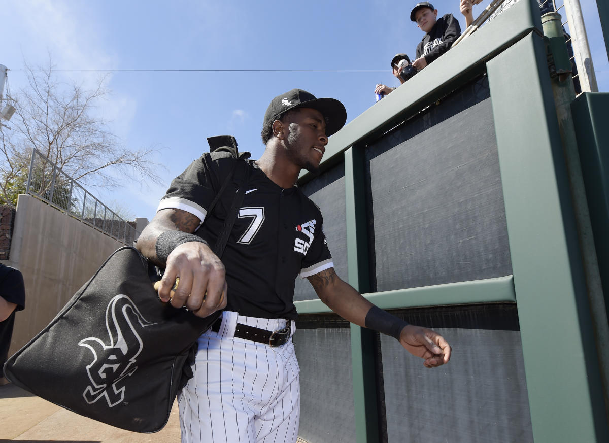 For the Love of the Game Chicago White Sox Tim Anderson Mark