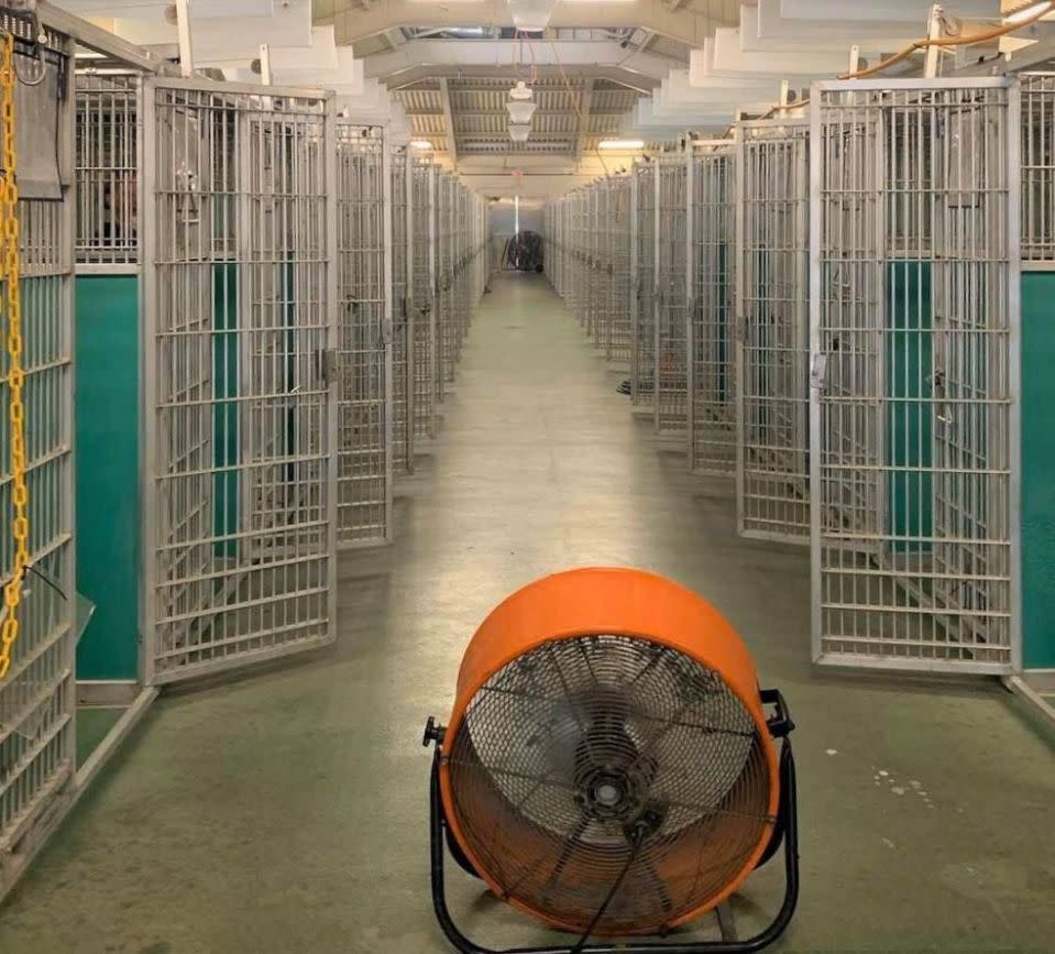 Das Tierheim Friends of West Palm Beach County Animal Care and Control feiert, dass seine Käfige zum ersten Mal jemals alle leer stehen. (Foto: Friends of West Palm Beach County Animal Care and Control)