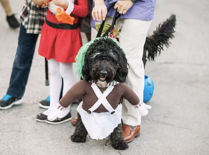 Utah: Howl-O-Ween, Park City