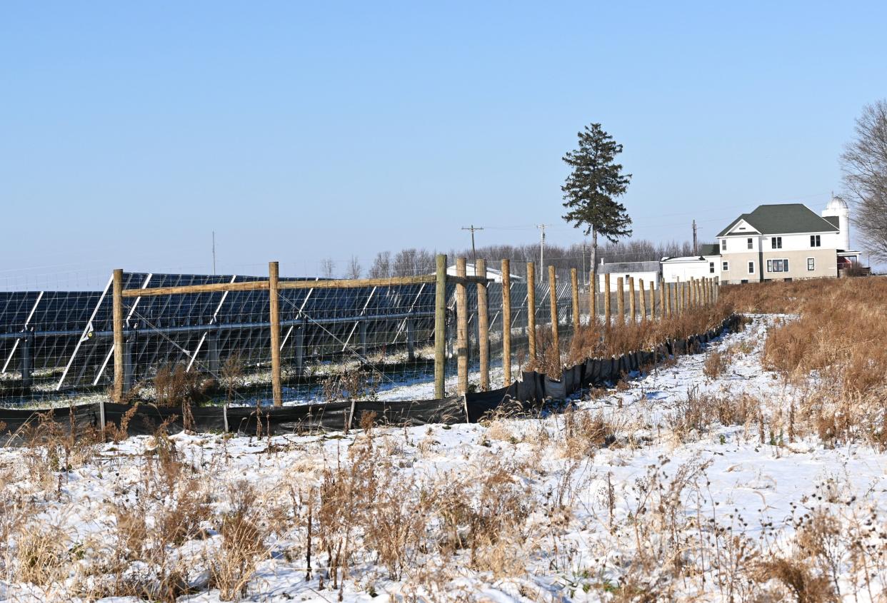 Solar panels surround a farm on Burlington Road.