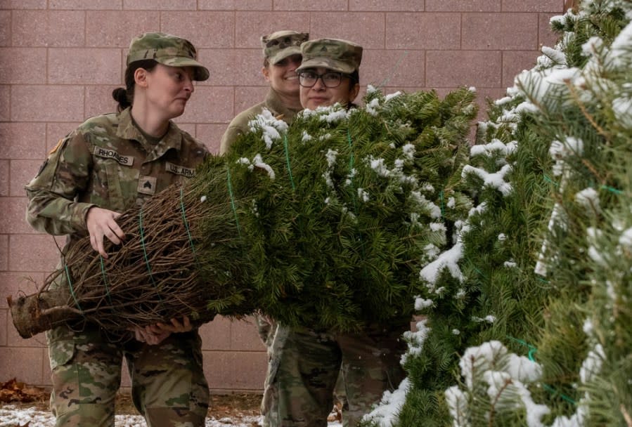 Soldiers with the Pennsylvania Army National Guard’s 228th Motor Transportation Battalion gather Christmas trees from supporting farms across central Pennsylvania and transport them to a centralized location for easy distribution to veterans and Pennsylvania National Guard service members as part of the PA Trees 4 PA Heroes program. (Courtesy Photo by Wayne Hall)