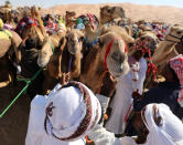 <p>Handlers prepare camels to race during the festival. (Photo: Karim Sahib/AFP/Getty Images) </p>