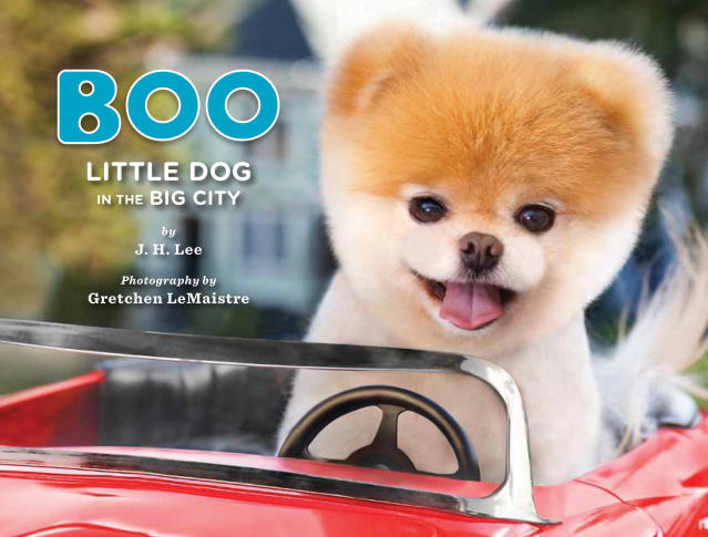 An Interview With Boo: The World's Cutest Dog