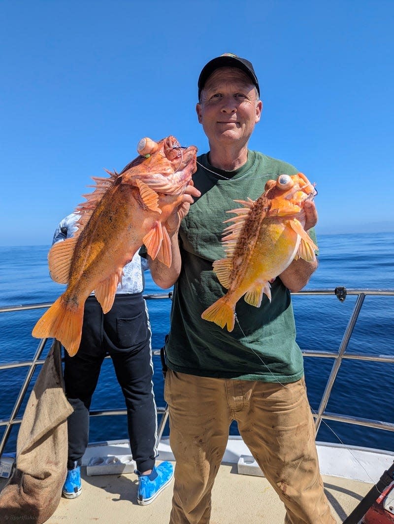 The anglers fishing aboard the Queen of Hearts in Half Moon Bay caught limits of deep water rockfish like these on April 2, 2024.