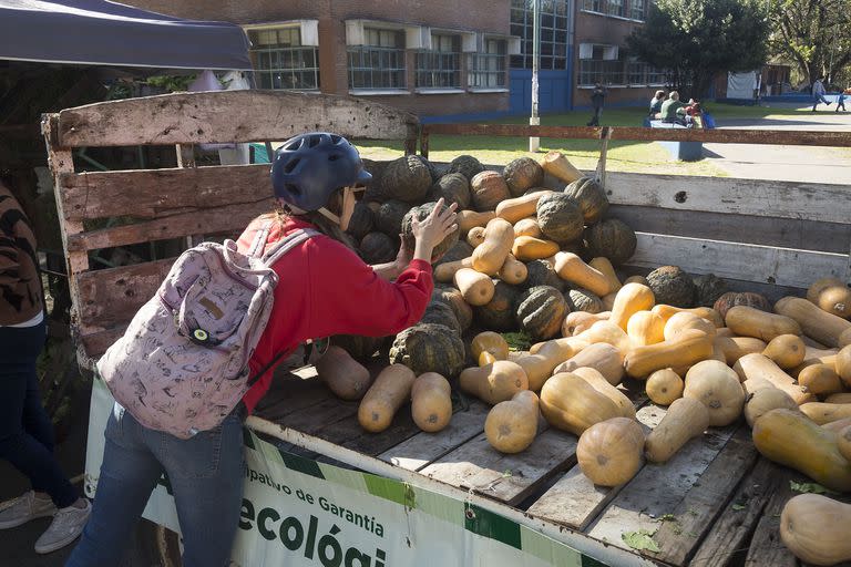 Feria de agronomía; sociedad; artesanos;