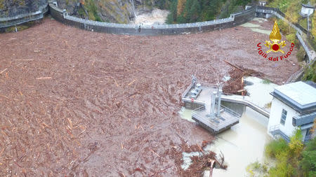 Fallen trees are seen in the water of the Comelico dam near Belluno, Italy, November 3, 2018. Vigili del Fuoco/Handout via REUTERS