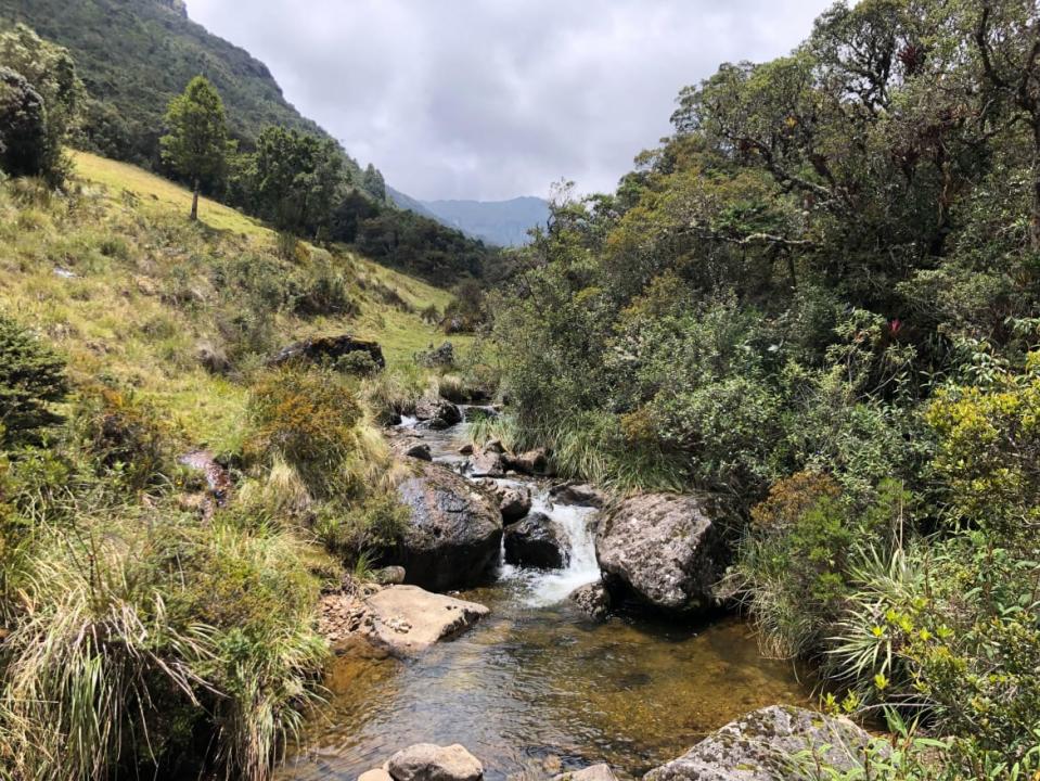 A photograph of a stream along the Inca trail near Carachula.