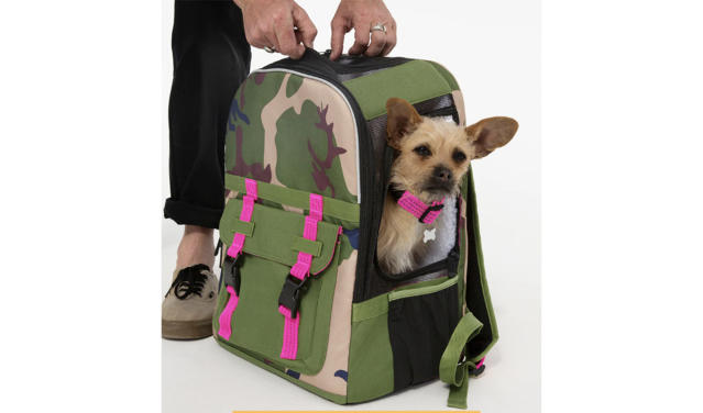 12 Best Dog Carriers 2023