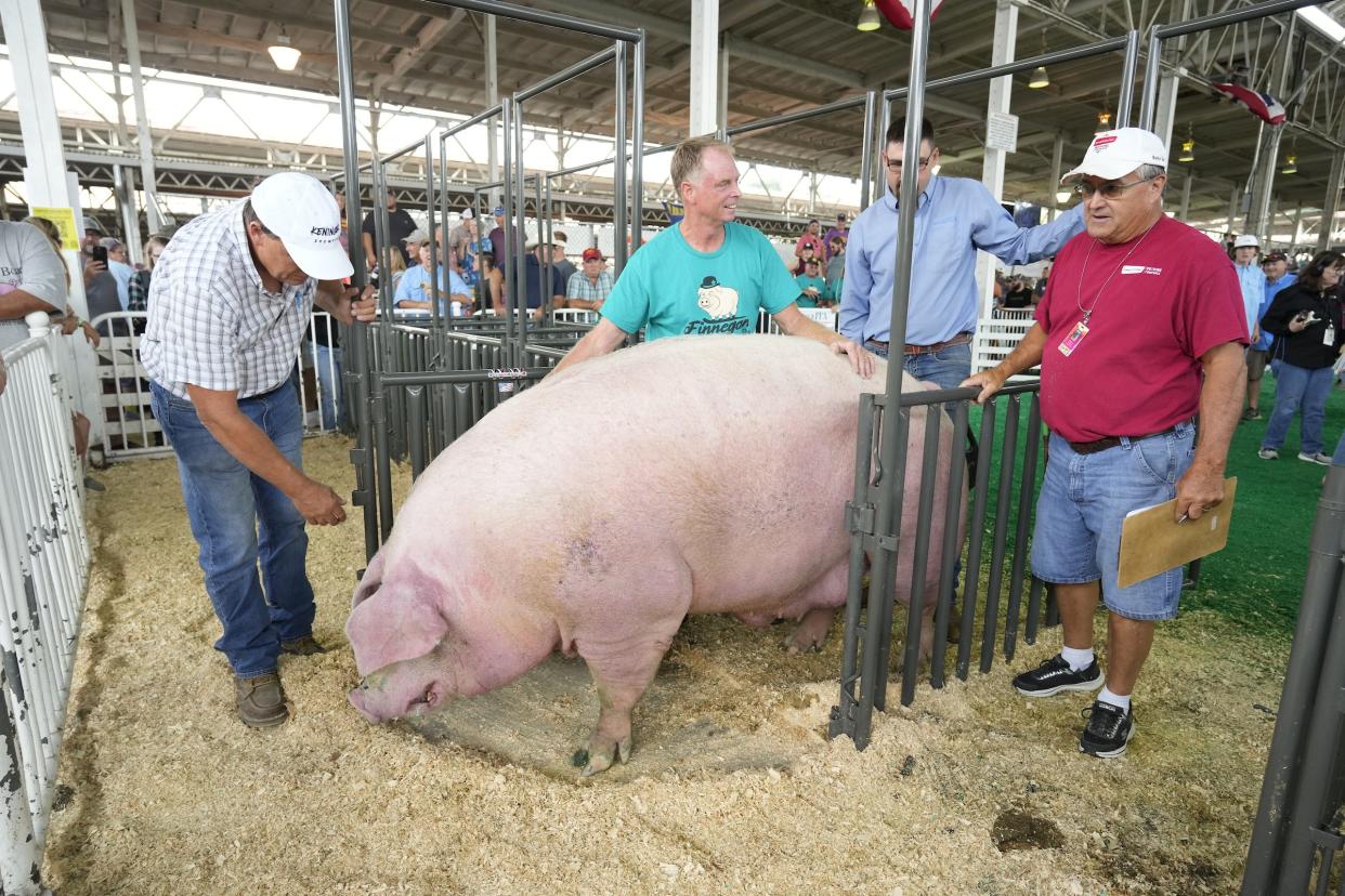 The Iowa State Fair 2024, in Des Moines, Iowa. (Photo by Matthew Putney/MP Media)