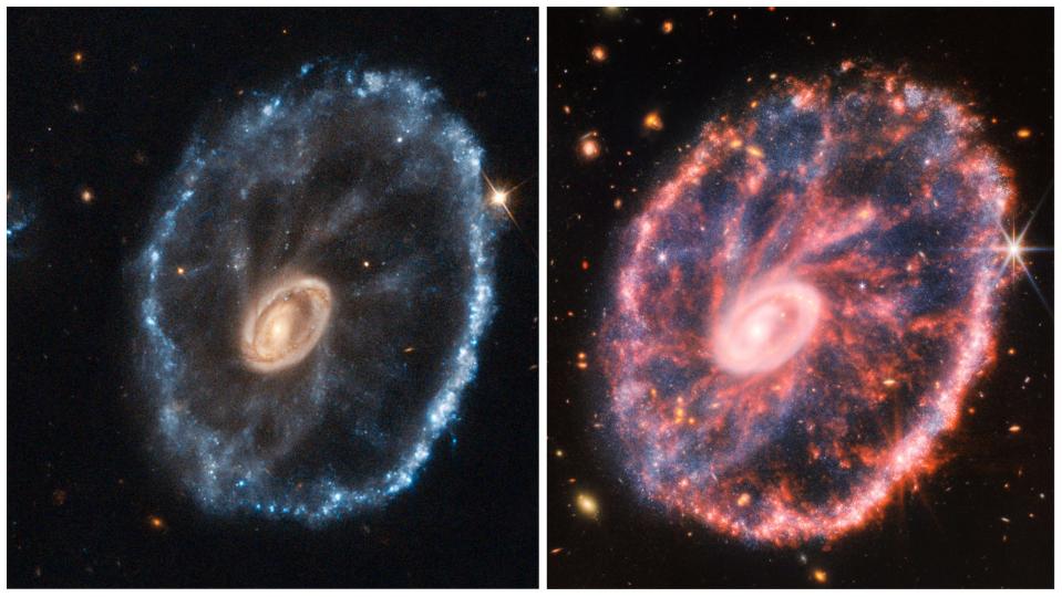 Left: Image of the Cartwheel Galaxy taken with the Hubble Space Telescope. Right: Left: Image of the Cartwheel Galaxy taken with the James Webb Space Telescope.