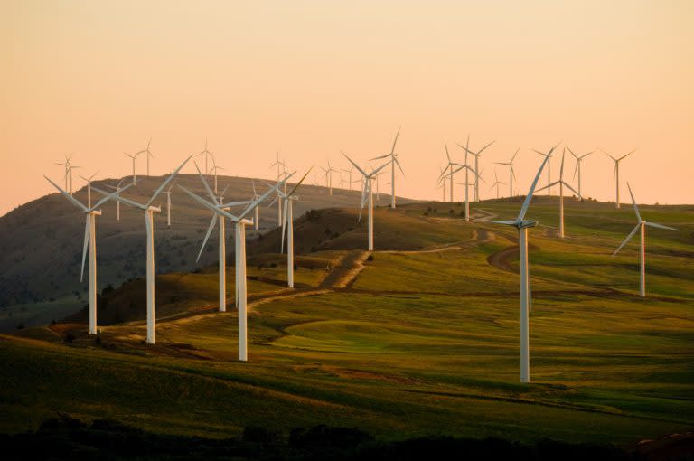 Largest Renewable Energy Companies In Texas