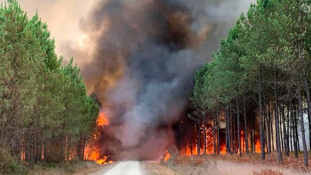 PHOTO: Flames consume trees during a forest fire in Saint Magne, south of Bordeaux, France, August 10, 2022, in a photo provided by the Gironde Region Fire Service SDIS 33 (Departmental Fire and Rescue Service 33) (SDIS 33 Service Audiovisuel via AP)