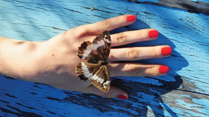 Butterfly on a woman's hand