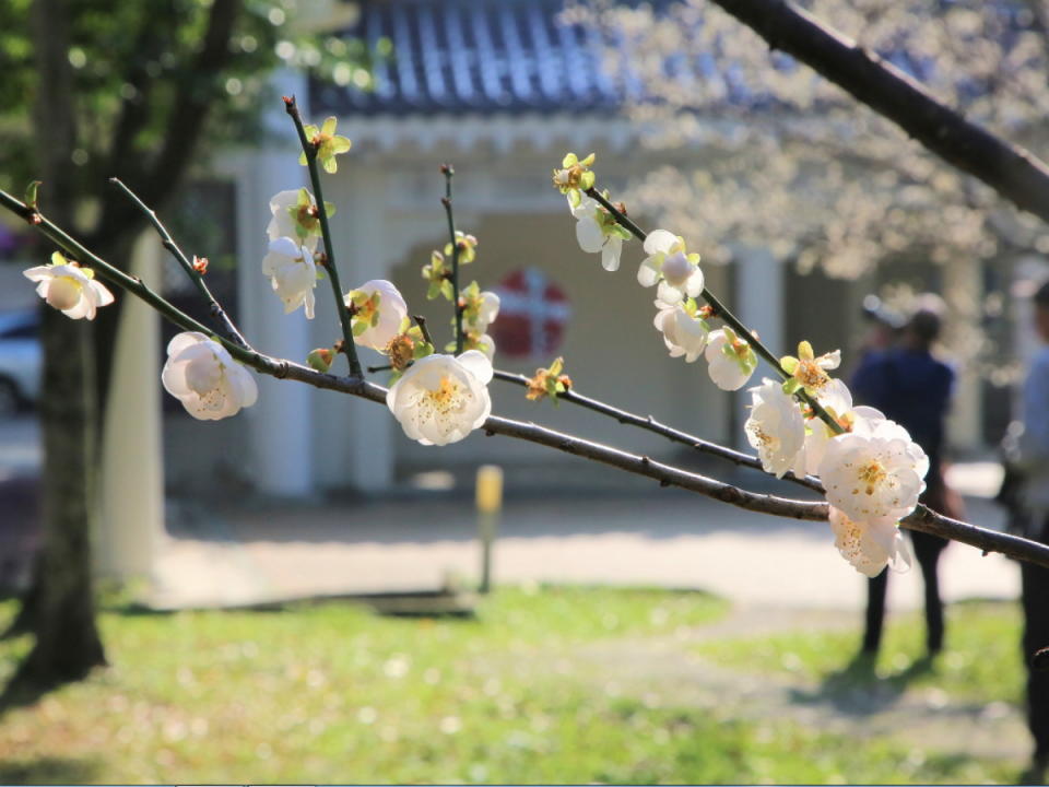 中正紀念堂和松山文創園區登上Google地圖全球熱搜文化景點前10名。（圖：中正紀念堂臉書）