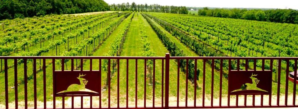 17) Kansas: Grace Hill Winery