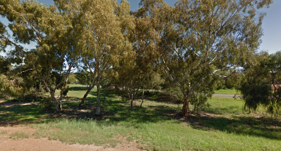 The scooter caught fire in Spalding Park, Geraldton (pictured). Source: Google Maps Street View