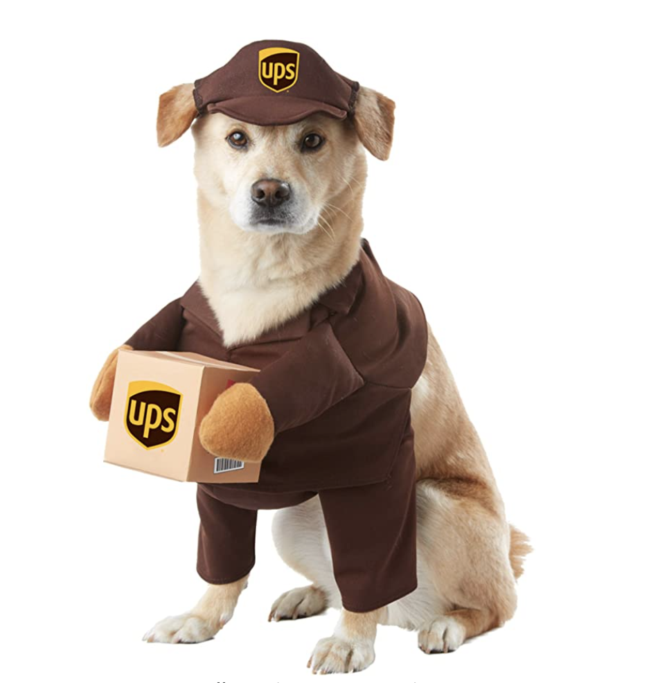 blonde puppy wearing brown California Costume Collection UPS Dog Outfit 